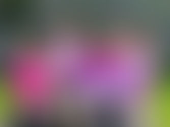  Tipperary Mini Marathon Women’s Virtual 10k 