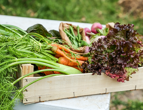 Untitled design (2).png