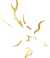 white and gold logo