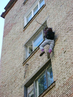 d705e420737381.56042fc6a518f