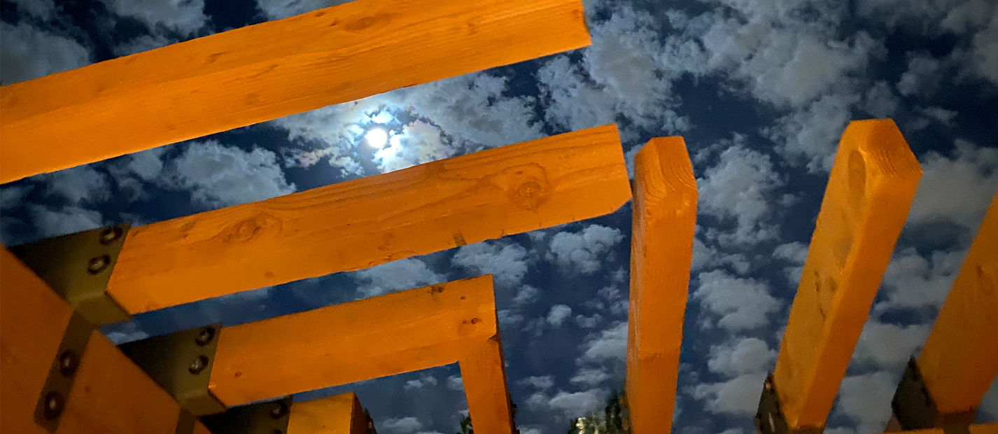 7209 front trellis.jpg