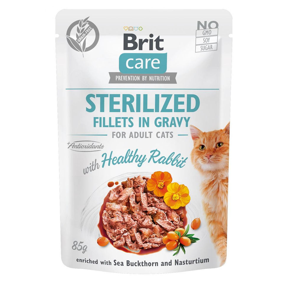Вологий корм Brit Care Cat Pouch для кошенят, в желе, пікантний лосось, 85 г