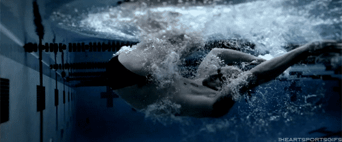 giphy (2).gif