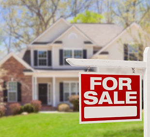 Untitled design-9.jpg