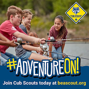 Cub scouts.jpg