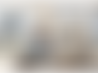 Customising LLMs for Public Affairs