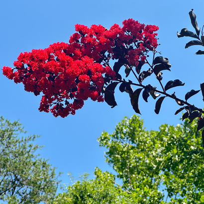 Standing Strong as a Lightworker: Chapter 11