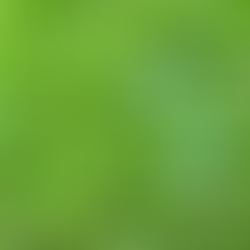 Rooted in the Earth: The Healing Power of Earthing
