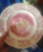 Plate Pic1.jpg