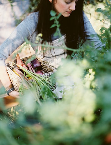 Woman Picking Organic Vegetables