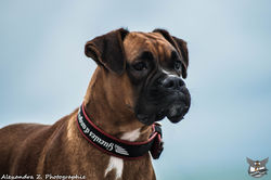 Laina_PlageGA_2017-10