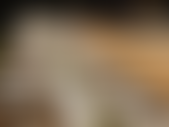 How to Create a Cozy and Elegant Wedding Theme with a Neutral and Unknown Narrative