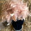 Thumbnail: Florence - Latte Feather Statement Fascinator With Headband.