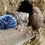 Thumbnail: Real Fur Poms with a choice of brooch pin or magnet