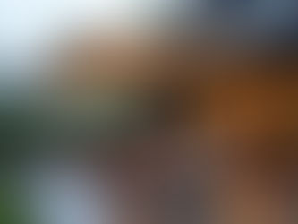 Awnings for All Seasons: Sun, Rain & Wind Protection