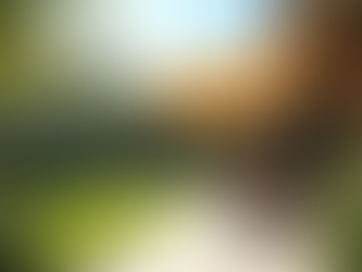 Explore the Benefits of Stylish Awnings for Your Home or Business