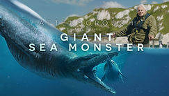 Attenborough-and-the-Giant-Sea-Monster-Promo-03-scaled.jpeg