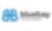 66560d388aa4e88fca72e1f3_bluebay-home-loans-logo-300x180.png