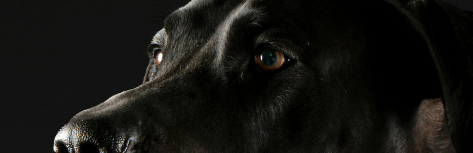 https___www_edited_edited_edited_edited_