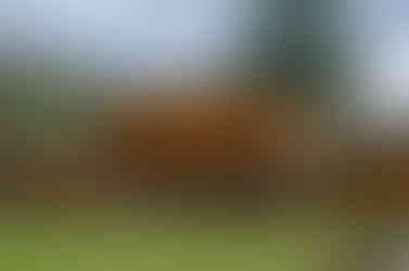 Best Resort In Jim Corbett