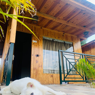 Best Resort In Jim Corbett