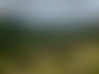 RAPHA PRESTIGE BANNAU BRYCHEINIOG