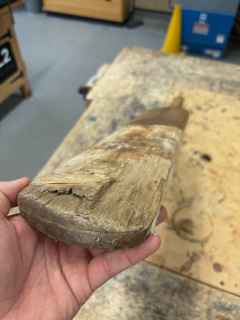Thumbnail: Bat restoration