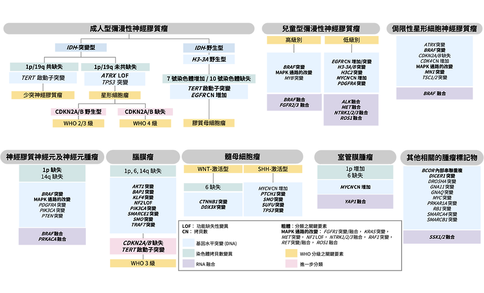 WHO 2021 CNS classification TC.png