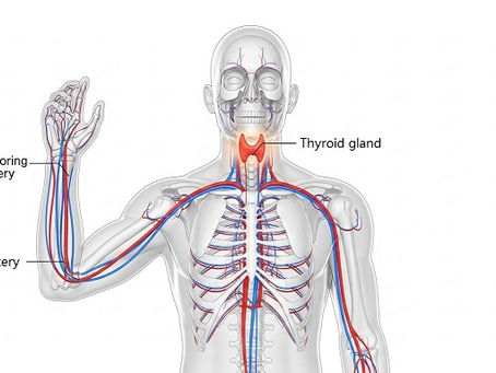 Thyroid Artery Embolization China: The Scarless Solution for Hyperthyroidism