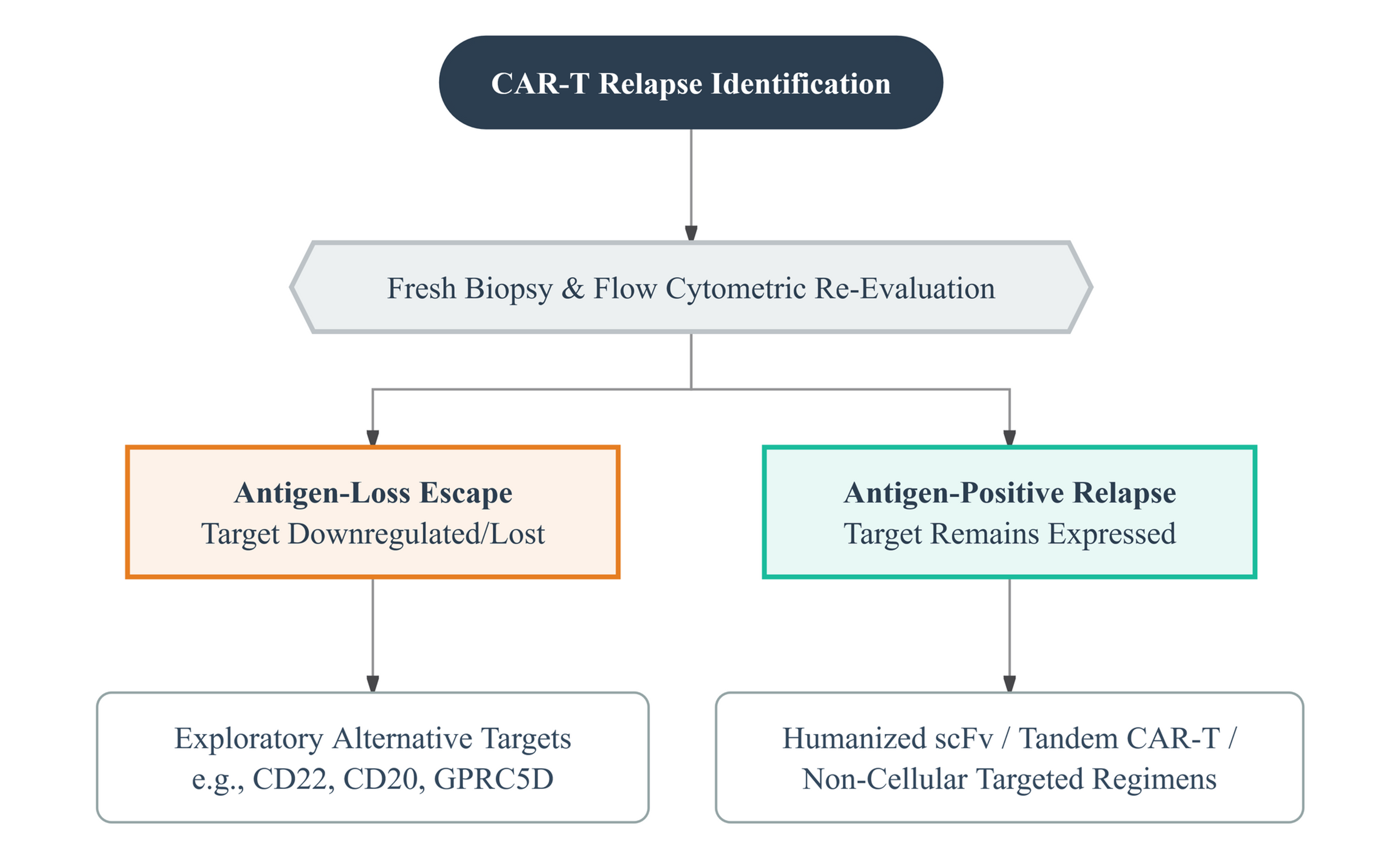 CAR-T Relapse Identification Process