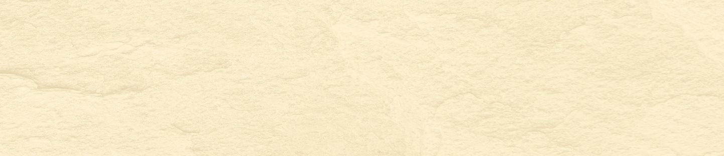 top-bg.jpg