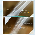 骨.jpg