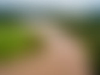 Greater Urgency Needed to Improve NZ Water Quality Monitoring