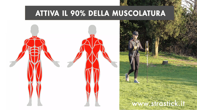 attiva-90-per-cento-muscolatura.gif