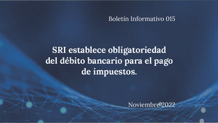 Boletín Informativo 015 - Noviembre 2022