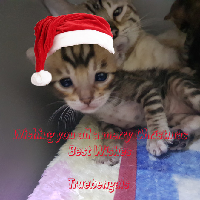 Happy Christmas to all!