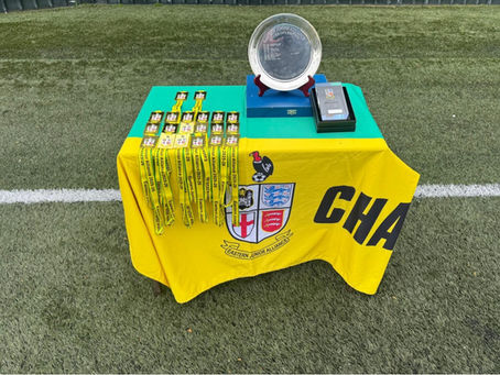 Section Winners so far