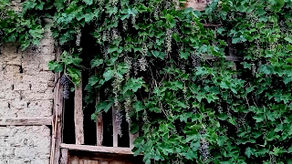 Anadolu'da çarmıh hazır... Peki İsa?