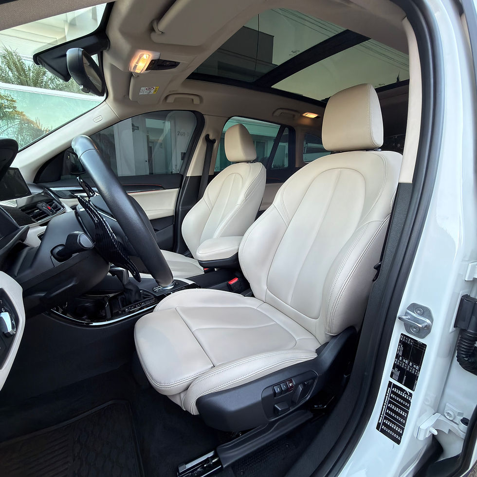 Miniatura: X1 X-Line 2.0 Turbo Active Flex