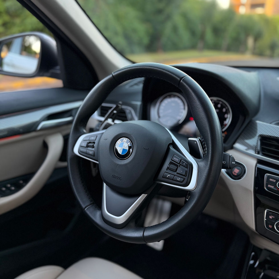 Miniatura: X1 X-Line 2.0 Turbo Active Flex