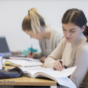 Bedriftsøkonomi, nettbasert - Årsstudium og enkeltemner 