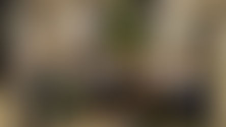 Avslutning Kull D21 - Sykepleierutdanning
