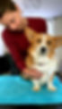 191749171_319171906317335_5546535415133212256_n.jpg