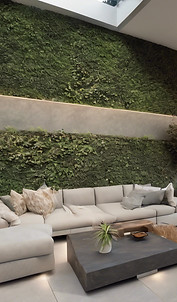 internal wall garden