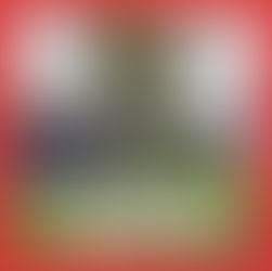 ‼️ Sperrung Pilze ab heute 15 Uhr ⛔️