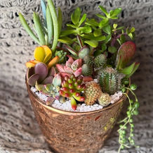 Floral boutique creating handcrafted flower arrangements and botanical gifts inspired by the beauty of thorns and blooms.
