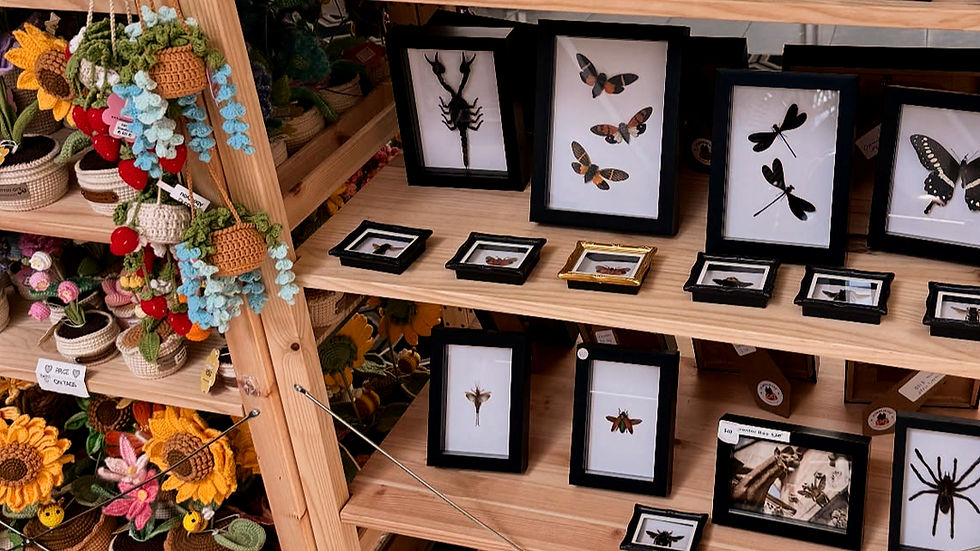 Wooden shelves display framed insects and crocheted plants. Vibrant flowers and hanging crochet baskets create a colorful, cozy atmosphere.