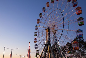 Sydney_RoyalEasterShow-1.jpg