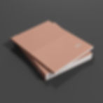 STEGU 2025 STUDIO_katalog test01.jpg