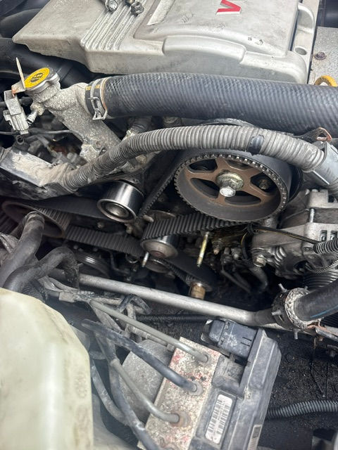 image3.jpeg